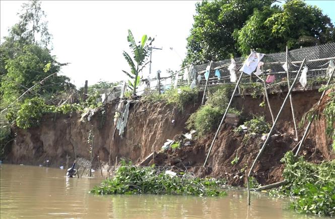 Trong ảnh: Đoạn sạt lở có chiều dài 55m, sâu vào đất liền 3m. Ảnh: TTXVN phát
