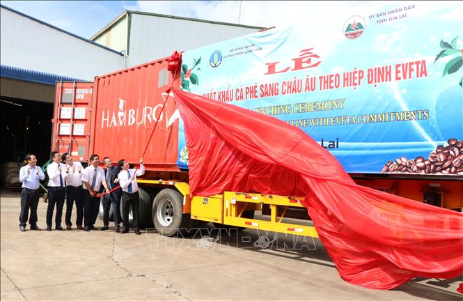 Photo: The export launching ceremony is held at the Vinh Hiep 400 Co. Ltd. in Pleiku city, the Central Highlands of Gia Lai. VNA Photo: Hồng Điệp