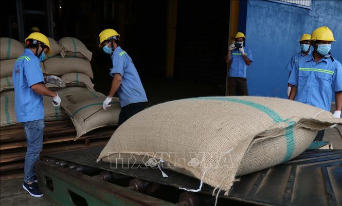 Photo: The first batch of coffee is packed for export to EU. VNA Photo: Hồng Điệp