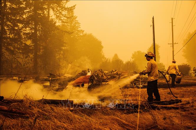 Trong ảnh: Lực lượng cứu hỏa nỗ lực dập lửa cháy rừng tại Mill, Oregon, Mỹ, ngày 10/9/2020. Ảnh: AFP/TTXVN