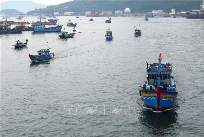Trong ảnh: Tàu thuyền ngư dân các tỉnh, thành phố ven biển miền Trung di chuyển vào Âu thuyền Thọ Quang (Đà Nẵng) để phòng chống bão số 5. Ảnh: Trần Lê Lâm - TTXVN