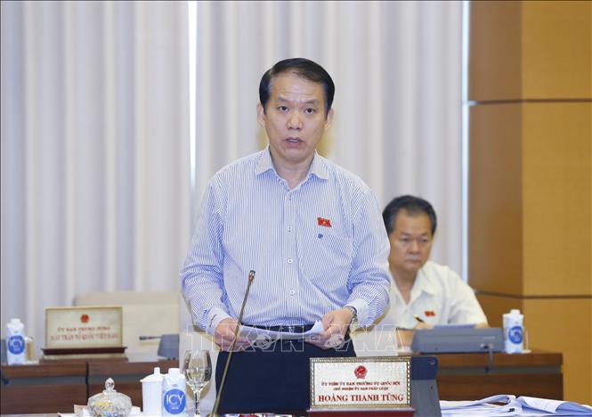 Trong ảnh: Chủ nhiệm Uỷ ban Pháp luật của Quốc hội Hoàng Thanh Tùng trình bày báo cáo (tóm tắt). Ảnh: Doãn Tấn - TTXVN