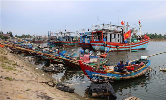 Trong ảnh: Tàu thuyền của ngư dân Quảng Trị và các tỉnh thành khác trong khu neo đậu tránh trú bão tại xã Triệu An, huyện Triệu Phong. Ảnh: Hồ Cầu-TTXVN