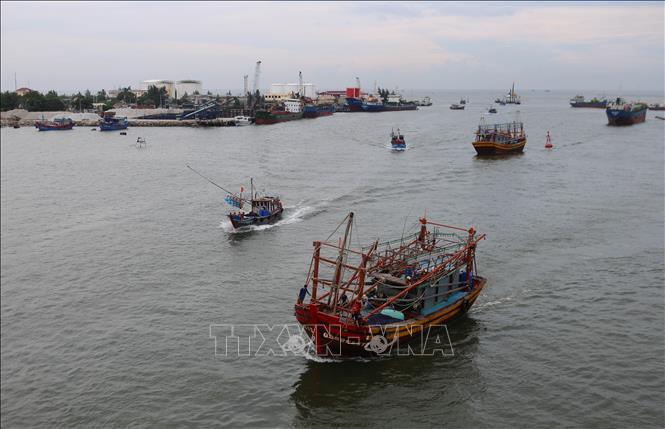 Trong ảnh: Tàu thuyền của ngư dân Quảng Trị và các tỉnh thành khác di chuyển qua khu vực cảng Cửa Việt về các khu neo đậu tránh trú bão. Ảnh: Hồ Cầu-TTXVN