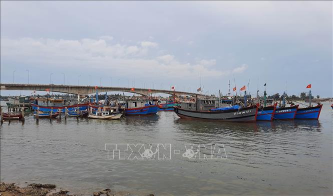 Trong ảnh: Tàu thuyền của ngư dân Quảng Trị và các tỉnh thành khác neo đậu tranh trú bão tại khu vực cảng Của Việt. Ảnh: Hồ Cầu-TTXVN