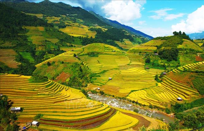 Trong ảnh: Những thửa ruộng bậc thang tại xã Dế Xu Phình, nằm ngay bên cạnh Quốc lộ 32. Ảnh: Lâm Khánh – TTXVN