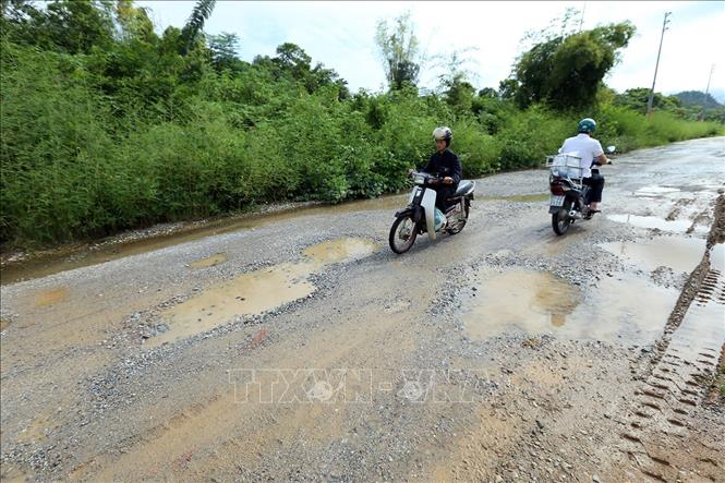 Trong ảnh: 