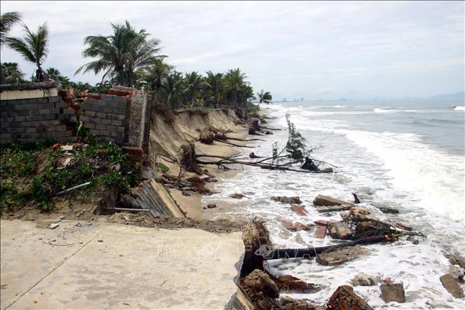 Photo: The Cua Dai Beach in the central province of Quang Nam is eroded due to the storm. VNA Photo: Trịnh Bang Nhiệm 