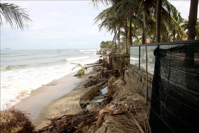 Photo: The Cua Dai Beach in the central province of Quang Nam is eroded due to the storm. VNA Photo: Trịnh Bang Nhiệm 