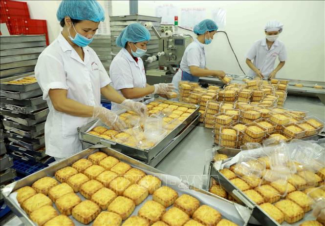 Trong ảnh: Đóng gói sản phẩm bánh nướng tại nhà máy của Công ty. Ảnh: Vũ Sinh - TTXVN