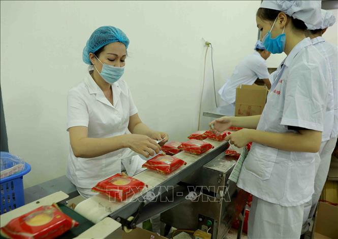 Trong ảnh: Đóng gói sản phẩm bánh Trung thu tại nhà máy của Công ty. Ảnh: Vũ Sinh - TTXVN