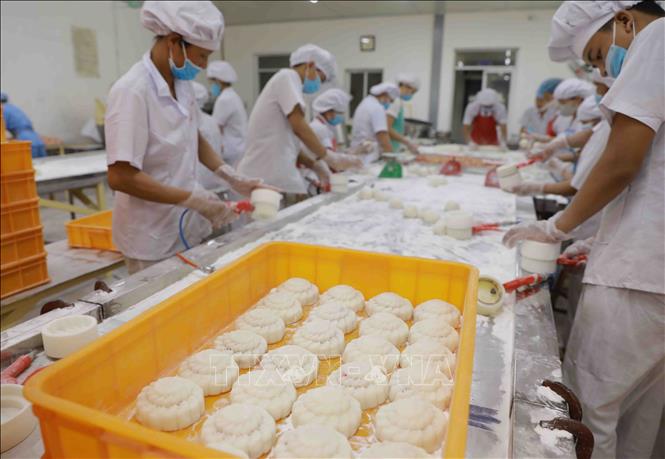 Trong ảnh: Sản xuất bánh dẻo theo phương thức truyền thống tại nhà máy của Công ty. Ảnh: Vũ Sinh - TTXVN