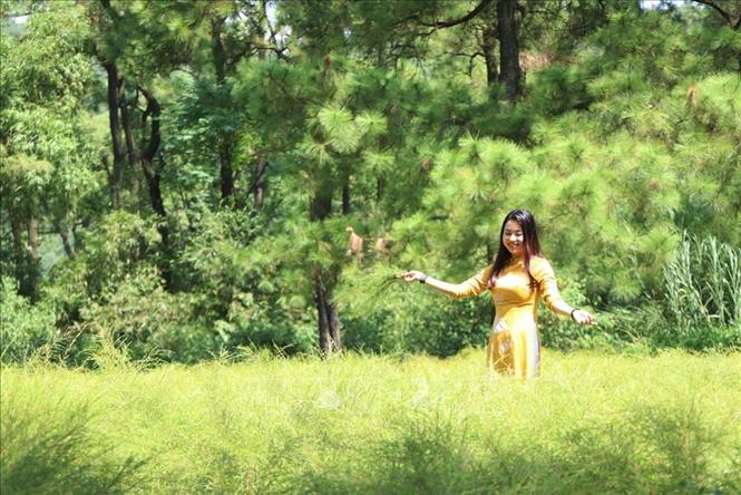 Trong ảnh: Giới trẻ thích thú tham quan, chụp ảnh ở rừng cây rễ mỗi khi về với di tích Côn Sơn. Ảnh: Mạnh Minh- TTXVN