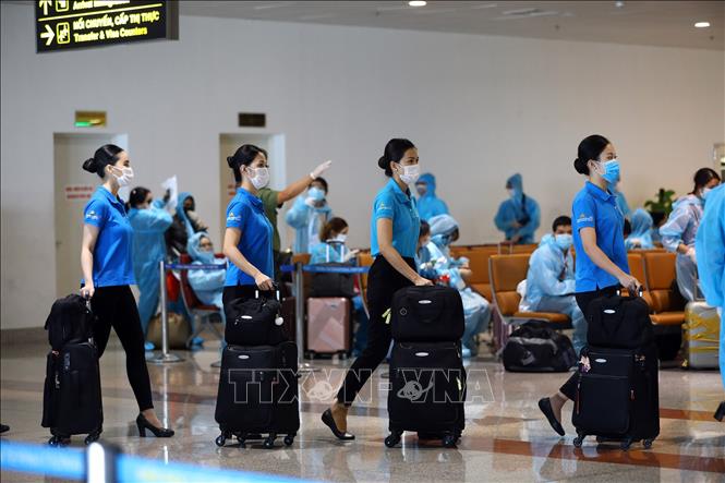 Trong ảnh: Các tiếp viên của Vietnam Airline phục vụ chuyến bay. Ảnh: Huy Hùng - TTXVN