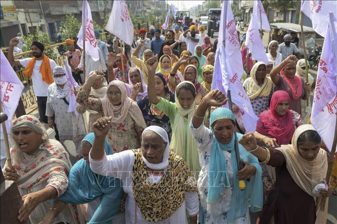Trong ảnh: Nông dân tuần hành phản đối dự luật nông nghiệp mới tại Amritsar, Ấn Độ ngày 25/9/2020. Ảnh: AFP/TTXVN