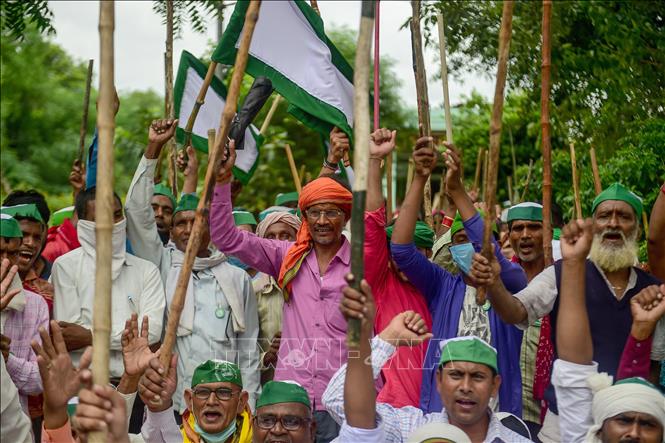 Trong ảnh: Nông dân tuần hành phản đối dự luật nông nghiệp mới tại Allahabad, Ấn Độ ngày 25/9/2020. Ảnh: AFP/TTXVN
