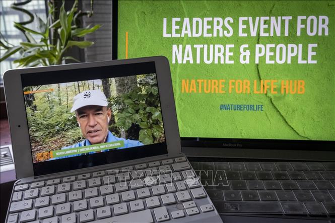 Tổng giám đốc Quỹ bảo tồn thiên nhiên thế giới (WWF) Marco Lambertini phát biểu tại sự kiện trực tuyến với chủ đề “Cam kết của các nhà lãnh đạo đối với thiên nhiên: Hợp tác đảo ngược sự mất mát đa dạng sinh học vào năm 2030 vì sự phát triển bền vững”. Ảnh: Hữu Thanh-P/v TTXVN tại New York, Hoa Kỳ