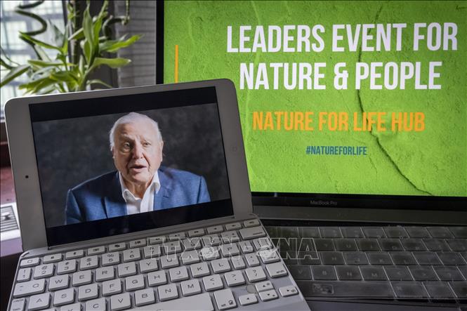 Phát thanh viên và nhà tự nhiên học người Anh David Attenborough phát biểu trong sự kiện trực tuyến với chủ đề “Cam kết của các nhà lãnh đạo đối với thiên nhiên: Hợp tác đảo ngược sự mất mát đa dạng sinh học vào năm 2030 vì sự phát triển bền vững”.Ảnh: Hữu Thanh-P/v TTXVN tại New York, Hoa Kỳ