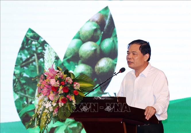 Trong ảnh: Bộ trưởng Bộ Ngông nghiệp và Phát triển nông thôn Nguyễn Xuân Cường phát biểu khai mạc hội nghị. Ảnh: Thống Nhất – TTXVN