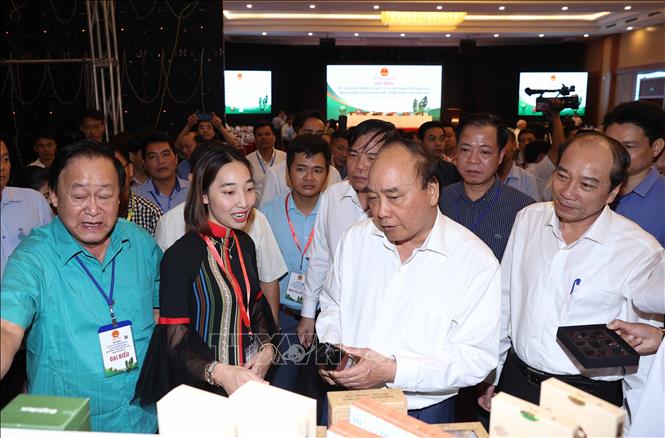 Trong ảnh: Thủ tướng Nguyễn Xuân Phúc thăm gian trưng bày các sản phẩm được chế biến từ hạt mắc ca. Ảnh: Thống Nhất – TTXVN