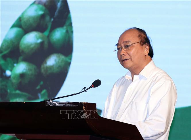 Trong ảnh: Thủ tướng Nguyễn Xuân Phúc phát biểu tại hội nghị. Ảnh: Thống Nhất – TTXVN