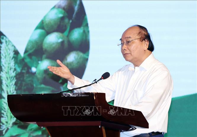Trong ảnh: Thủ tướng Nguyễn Xuân Phúc phát biểu tại hội nghị. Ảnh: Thống Nhất – TTXVN
