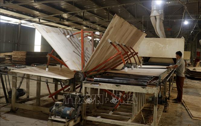 Trong ảnh: Sản xuất tại nhà máy chế biến gỗ MDF Bảo Yên. Ảnh: Quốc Khánh - TTXVN