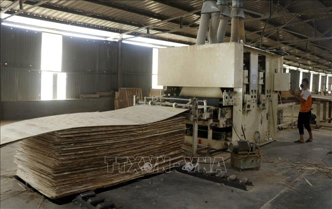 Trong ảnh: Sản xuất tại nhà máy chế biến gỗ MDF Bảo Yên. Ảnh: Quốc Khánh - TTXVN