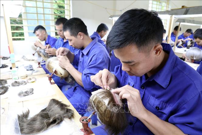 Trong ảnh: Lớp học nghề làm tóc giả tại cơ sở cai nghiện ma túy tỉnh Yên Bái. Ảnh: Anh Tuấn – TTXVN
