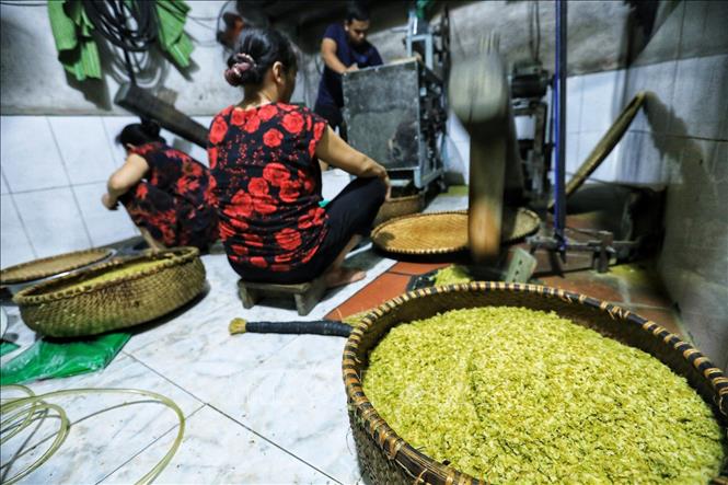Trong ảnh: Gia đình anh Sáng con bà Muộn là 1 trong số ít những hộ vẫn còn giữ nghề làm cốm mặc dù đã chuyển hết các công đoạn làm cốm bằng cơ khí hóa. Ảnh: Thành Đạt - TTXVN