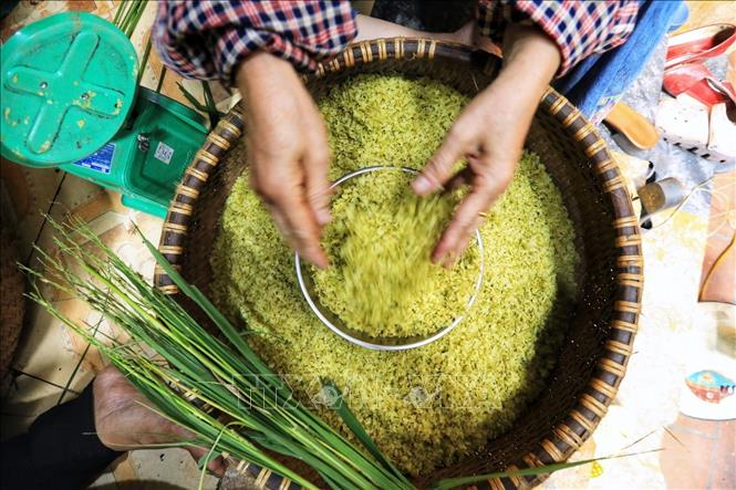 Photo: Do not miss this special food of Hanoi during your visit to Hanoi, especially the autumn time. VNA Photo: Thành Đạt