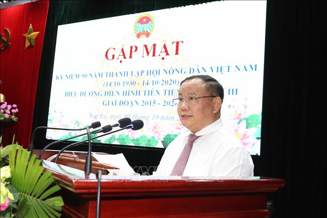 Trong ảnh: Ông Đinh Khắc Đính, Phó Chủ tịch Ban Chấp hành Trung ương Hội Nông dân Việt Nam phát biểu. Ảnh: Quang Quyết-TTXVN