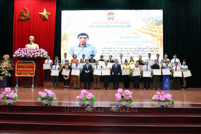 Trong ảnh: BTC tặng Bằng khen cho các cá nhân có thành tích xuất sắc trong phong trào thi đua yêu nước tỉnh Sơn La, giai đoạn 2015-2020. Ảnh: Quang Quyết-TTXVN