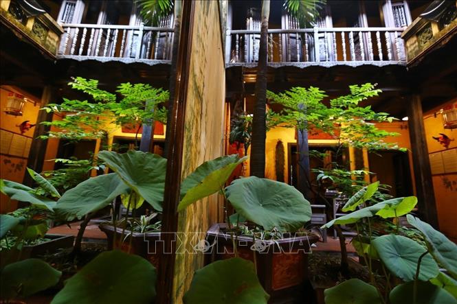 Photo: The yard is included at the centre of the building to moderate the air, provide the house with sunlight and cool winds. VNA Photo