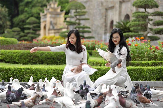 Trong ảnh: Khu di tích nay là điểm tham quan của du khách trong nước và quốc tế. Ảnh: TTXVN