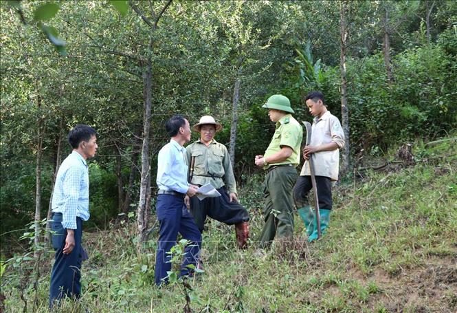 Trong ảnh: Cán bộ Quỹ bảo vệ rừng phối hợp với kiểm lâm địa phương tuyên truyền về phòng chống cháy rừng cho người dân khu vực xã Tả Lèng, huyện Tam Đường. Ảnh: Quý Trung - TTXVN