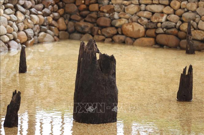 Các cọc có nhiều kích thước, loại nhỏ từ 10-18cm, loại lớn từ 28-32cm, có cọc đường kính từ 37-40cm; chủ yếu làm bằng gỗ sến nhựa và lim. Ảnh: Thống Nhất - TTXVN 