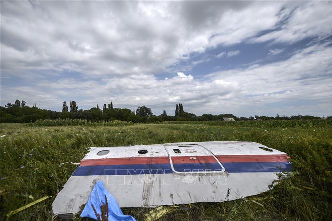 Trong ảnh (tư liệu): Mảnh vỡ máy bay MH17 trên cánh đồng gần làng Grabove, khu vực Donetsk, Ukraine, ngày 20/7/2014. Ảnh: AFP/TTXVN