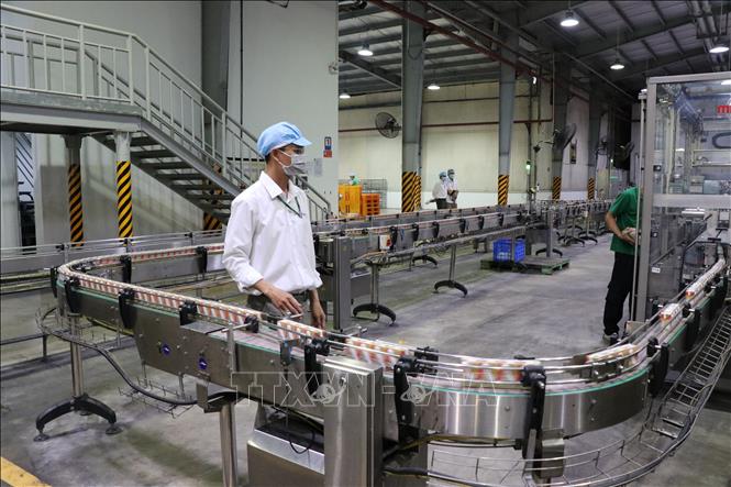 Photo: A dairy production line of the Binh Duong Nutifood Nutrition Food JSC at the My Phuoc 3 Industrial Park in Binh Duong province. VNA Photo: Dương Chí Tưởng