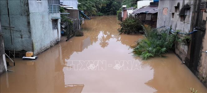 Trong ảnh: Nước sông Đồng Nai dâng cao khiến nhiều nhà dân bị ngập. Ảnh: Sỹ Tuyên – TTXVN