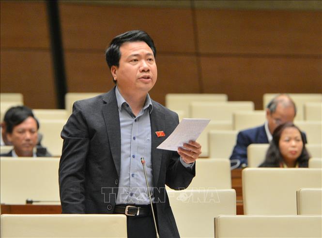 Trong ảnh: Đại biểu Quốc hội tỉnh Đắk Lắk Ngô Trung Thành phát biểu ý kiến. Ảnh: Doãn Tấn - TTXVN