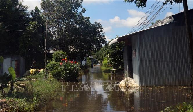 Trong ảnh: Nhà người dân ở huyện Vĩnh Thuận (Kiên Giang) bị ngập sâu trong nước. Ảnh: Lê Huy Hải - TTXVN