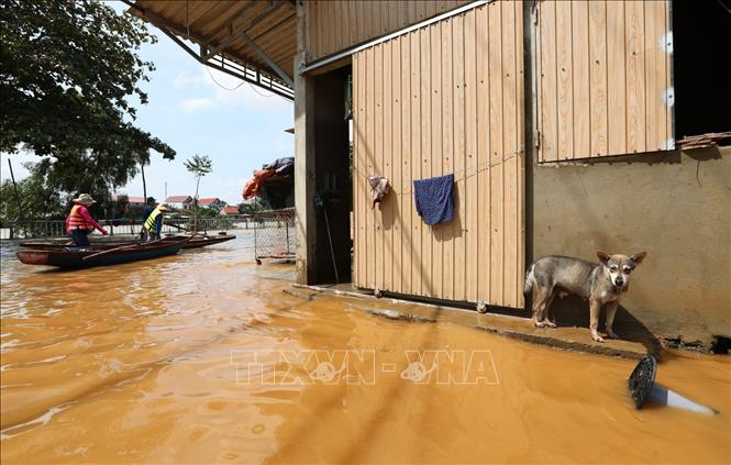 Trong ảnh: Một số xã như An Thủy, Phong Thủy, Phú Thủy vẫn ngập sâu. Ảnh: Thành Đạt - TTXVN