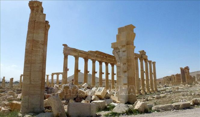 Palmyra nằm ở phía đông tỉnh Homs, là di sản thế giới được UNESCO công nhận, nơi lưu giữ nhiều di tích cổ và được coi là một trong những trung tâm văn hóa quan trọng của thế giới cổ đại. Sau khi chiếm giữ Palmyra, các tay súng của 