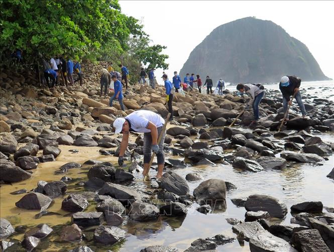 Đoàn viên, thanh niên tỉnh Phú Yên tham gia dọn rác khu vực biển Hòn Yến. Ảnh: Xuân Triệu - TTXVN                                                              