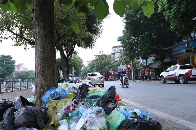 Trong ảnh: Rác vây quanh gốc cây trên đường Kim Ngưu, quận Hai Bà Trưng (ảnh chụp lúc 13h ngày 25/10/2020). Ảnh: Hoàng Hiếu - TTXVN 