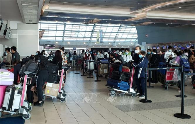 Trong ảnh: Công dân Việt Nam làm thủ tục tại sân bay quốc tế Toronto. Ảnh: TTXVN