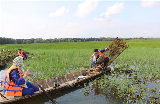 Trong ảnh: Du khách trải nghiệm một ngày làm nông dân miền Tây 