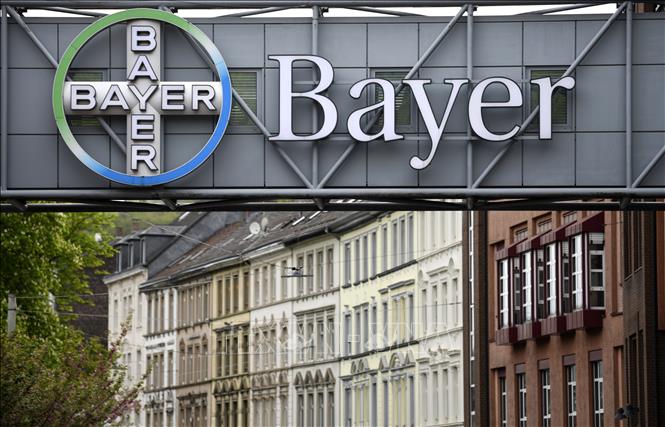 Trong ảnh: Biểu tượng của Tập đoàn dược phẩm Bayer tại Wuppertal, Đức. Ảnh: AFP/TTXVN