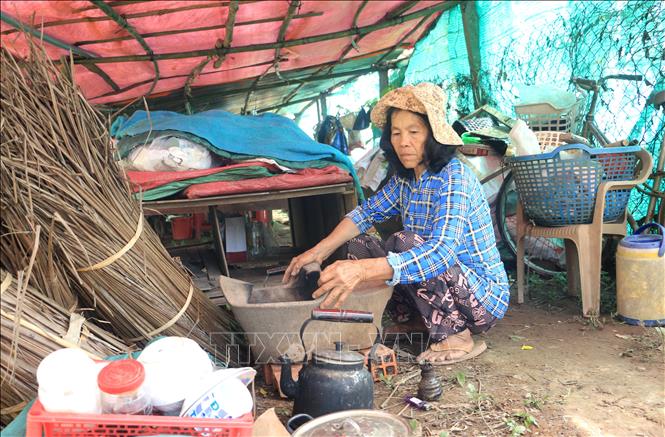 Bà Tạ Thị Rõ, xã Quới Thiện phải dọn lên đê ở tạm vì căn nhà bị ngập gần đến mái. Ảnh: Lê Thúy Hằng - TTXVN